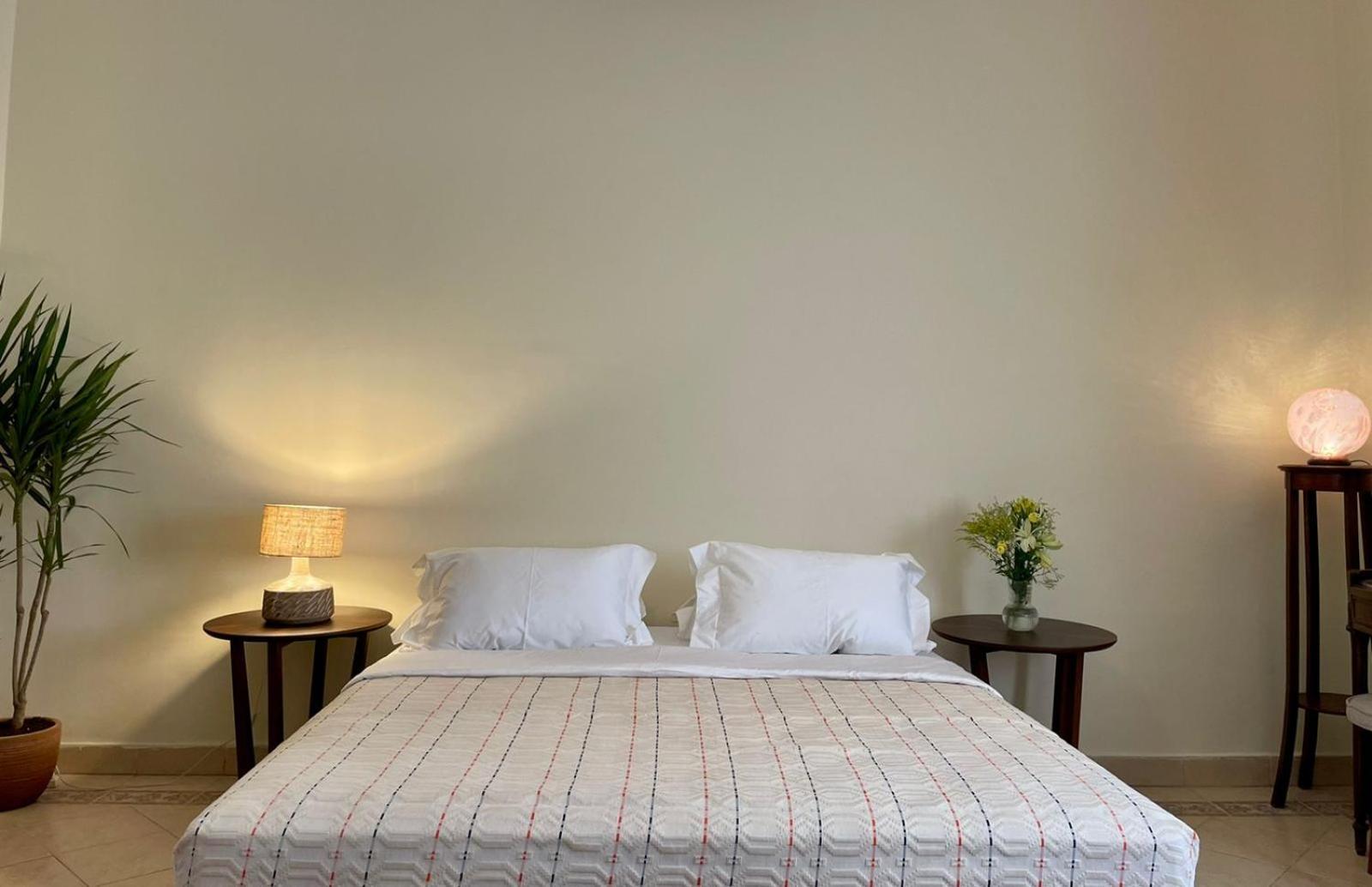 Luxury On The Nile - Zamalek Apartments Cairo Exterior photo